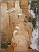 foto Capitol Reef e Bryce Canyon